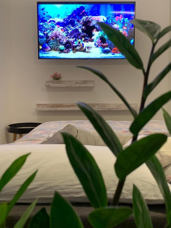 Peaknest - La Tua Vacanza Sul Lago Di Garda Arco Exteriör bild